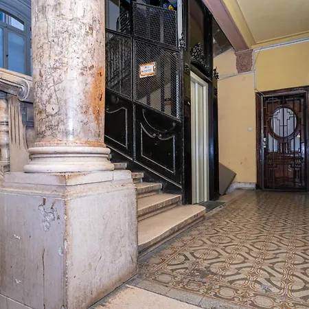 My Synagogue Speciality